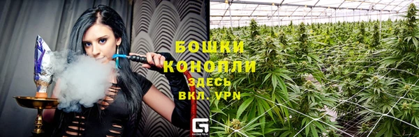 СК Белокуриха