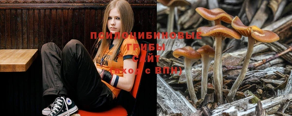 СК Белокуриха