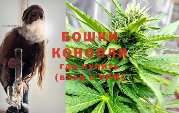 spice Беломорск