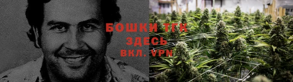 spice Беломорск