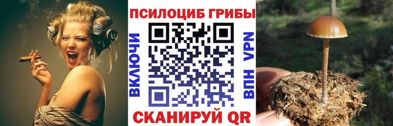 Псилоцибиновые грибы Magic Shrooms  Вязники 