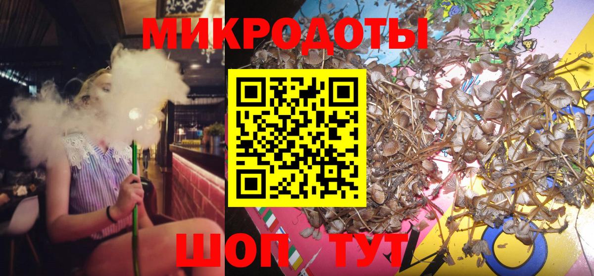 Псилоцибиновые грибы MAGIC MUSHROOMS  Вход с VPN  Вязники  Галлюциногенные грибы GOLDEN TEACHER 