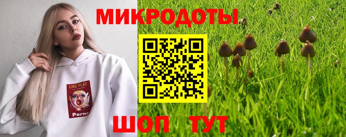 Галлюциногенные грибы мухоморы Вязники